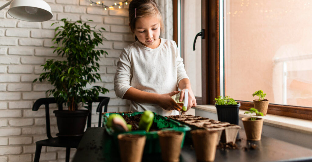 3 plantas que eliminam odores